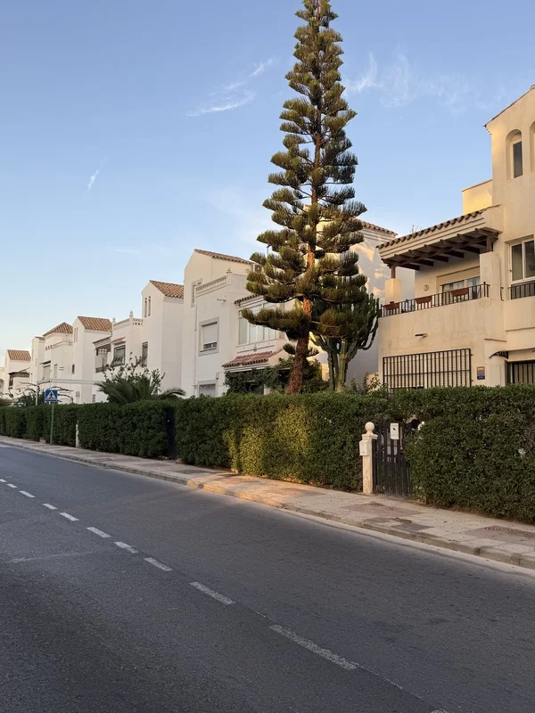 comprar vivienda en roquetas arbol